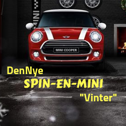 Spin en Mini Vinter Turnering
